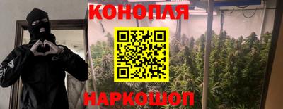 трава Усть-Джегута