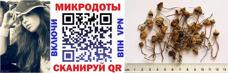 Галлюциногенные грибы мухоморы  наркотики  Балашиха 