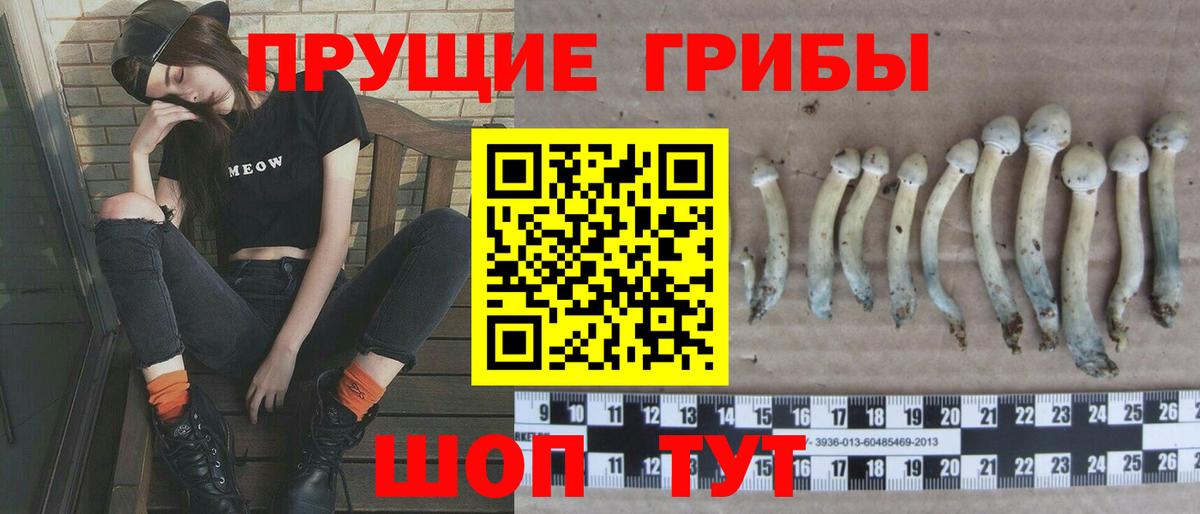 Псилоцибиновые грибы мицелий Балашиха